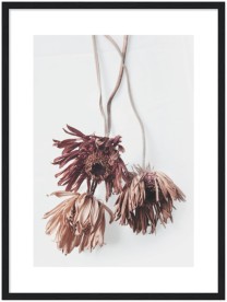 item preview