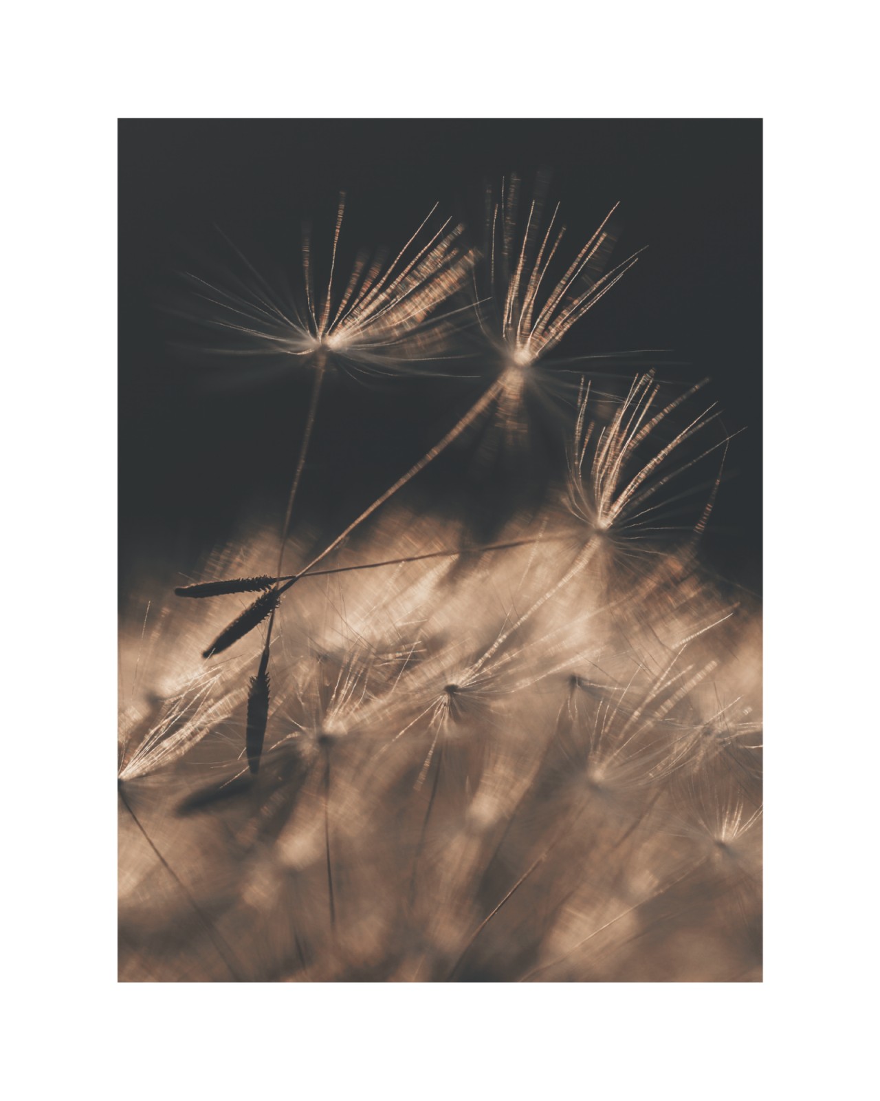 item preview