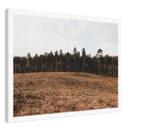 item preview