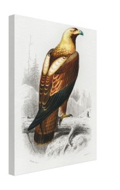 item preview