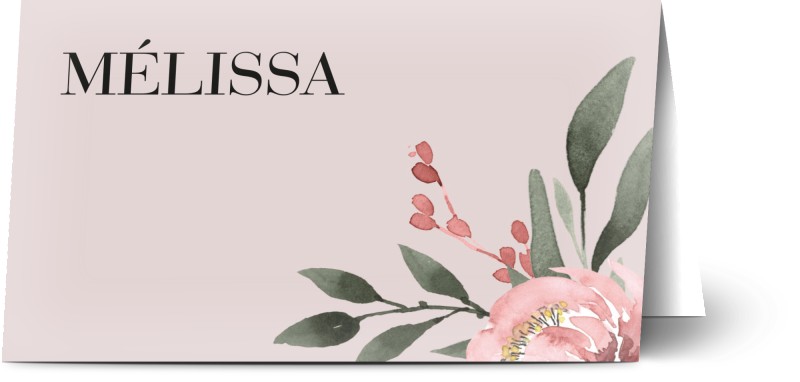 item preview
