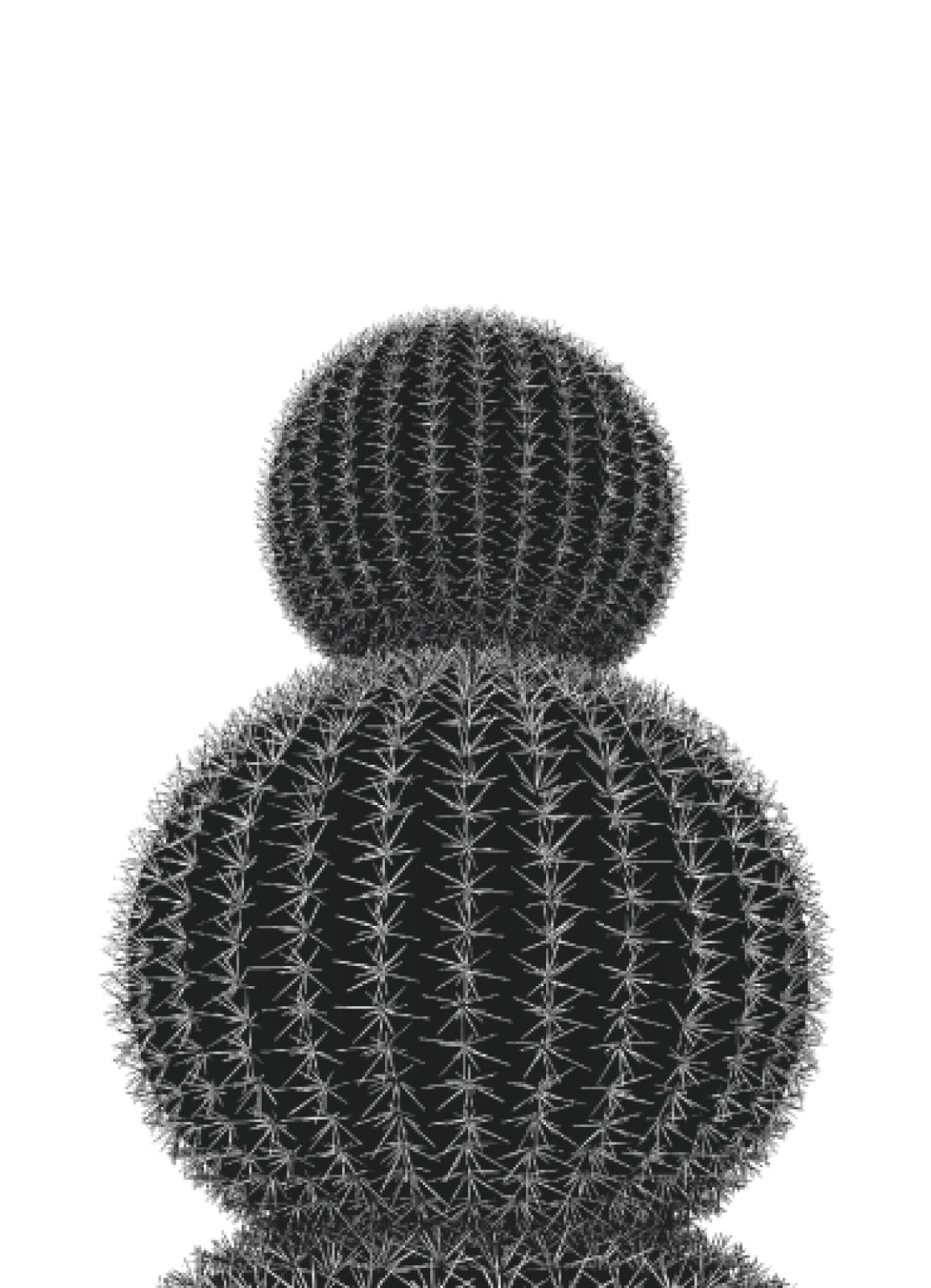 item preview