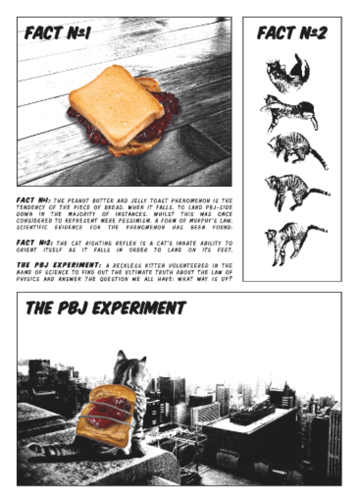 item preview