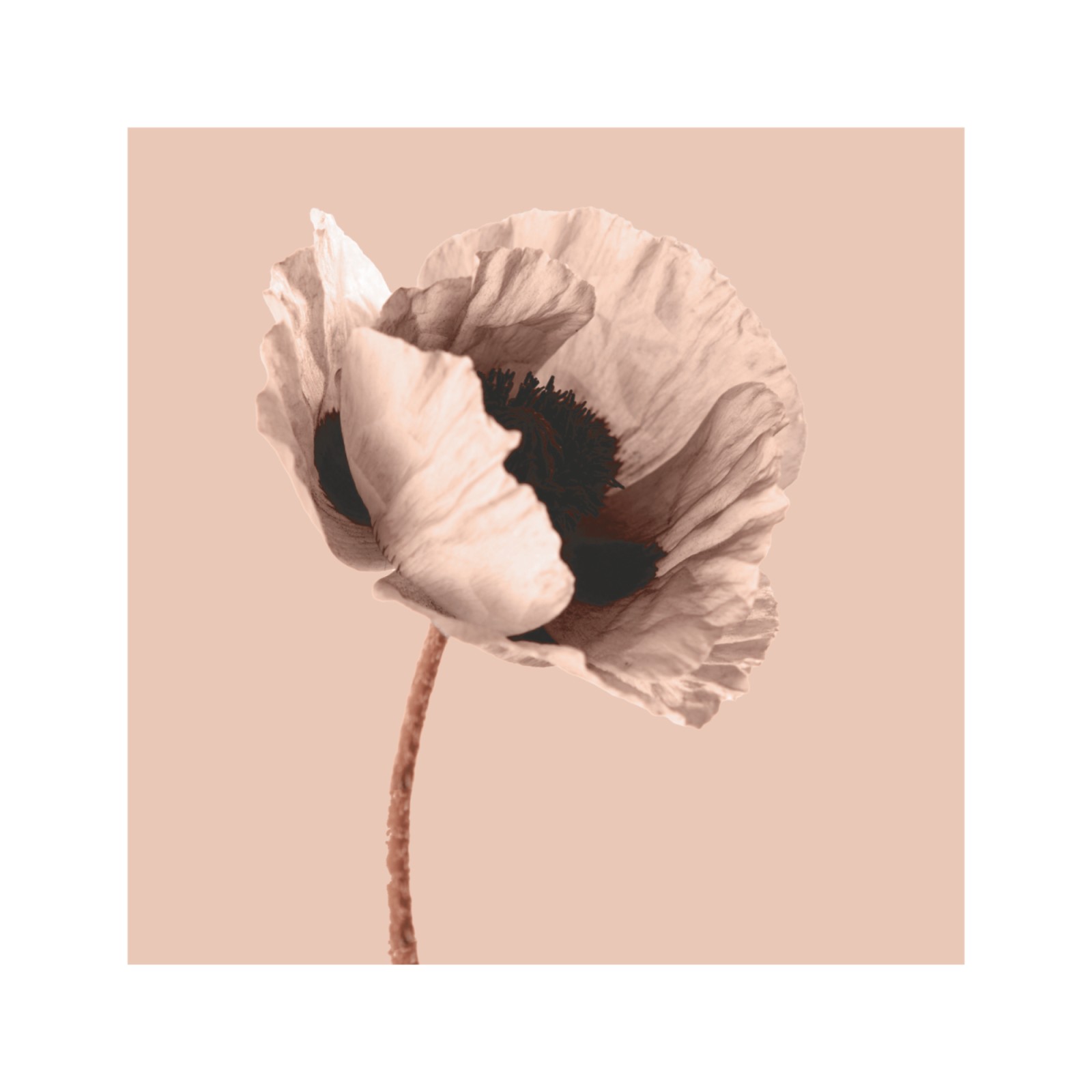 item preview