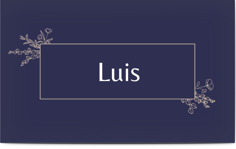 item preview