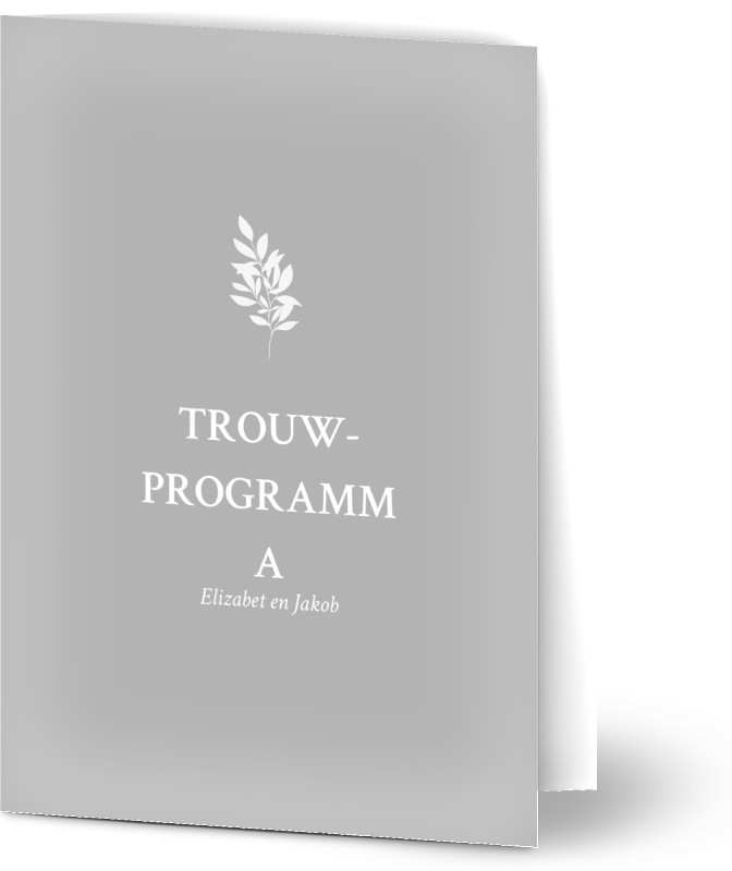 item preview