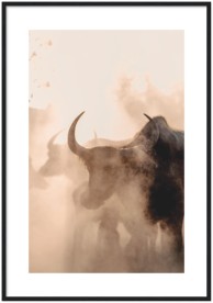 item preview
