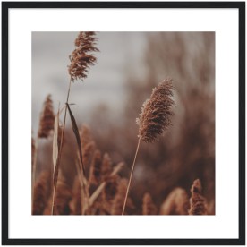 item preview