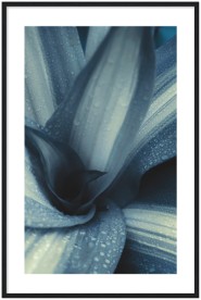 item preview