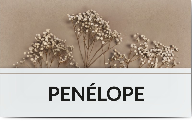 item preview