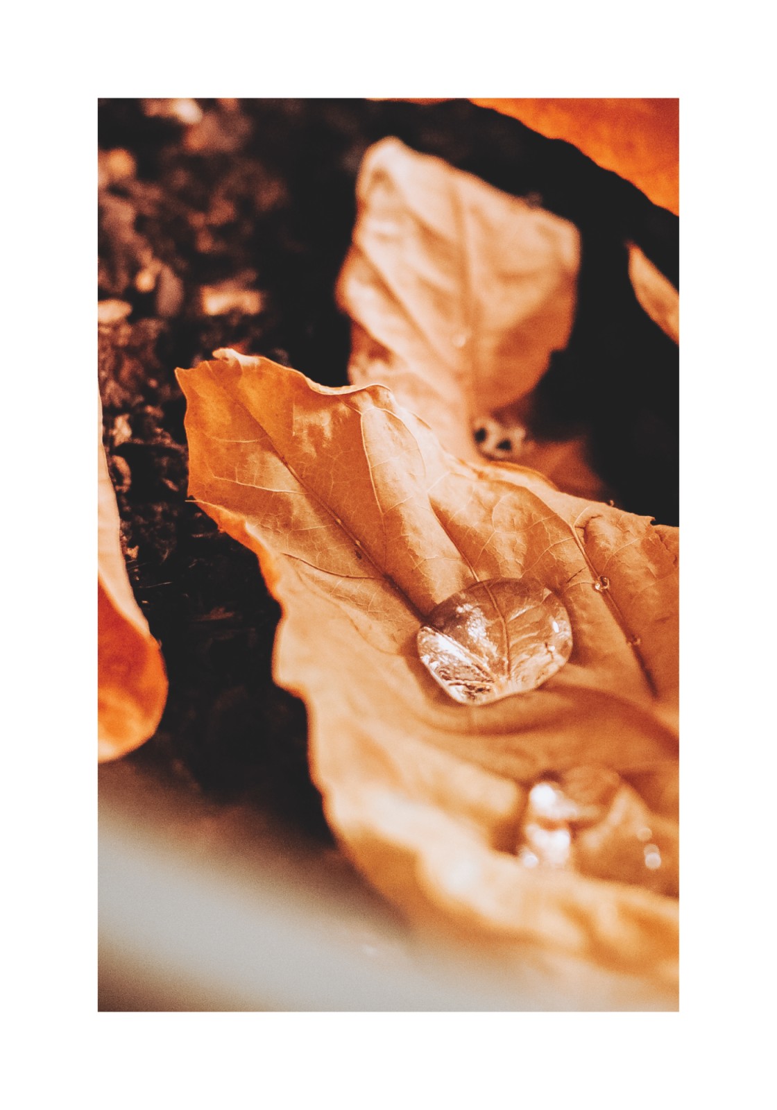 item preview