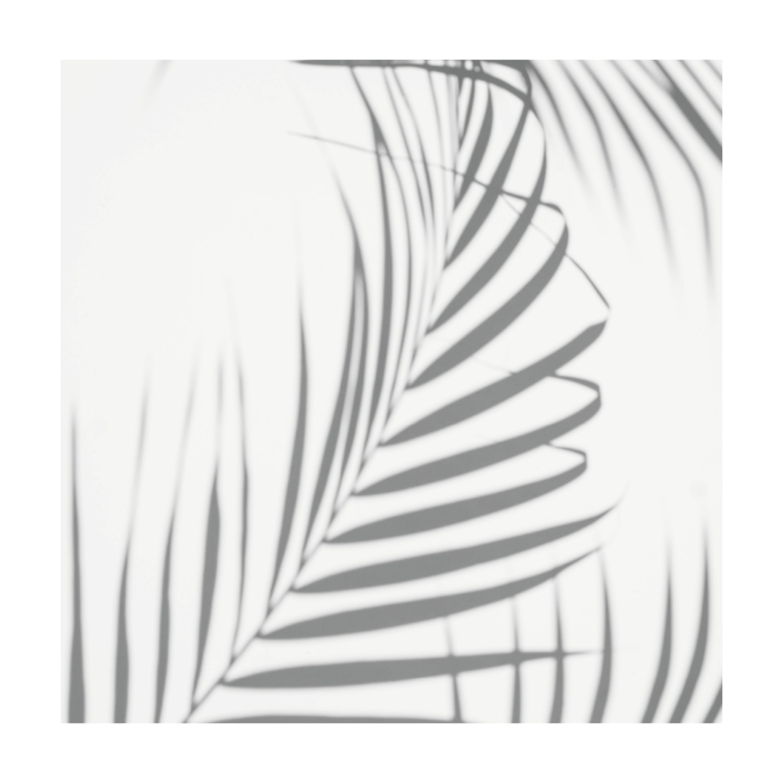 item preview