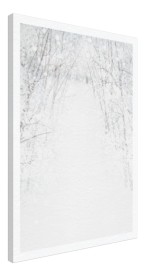 item preview