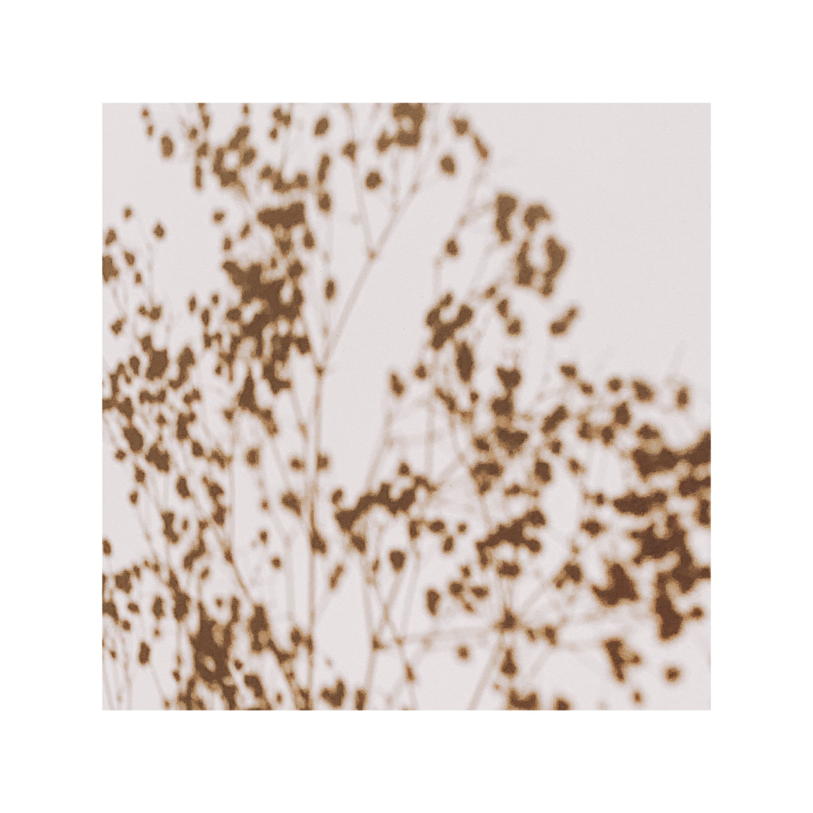 item preview
