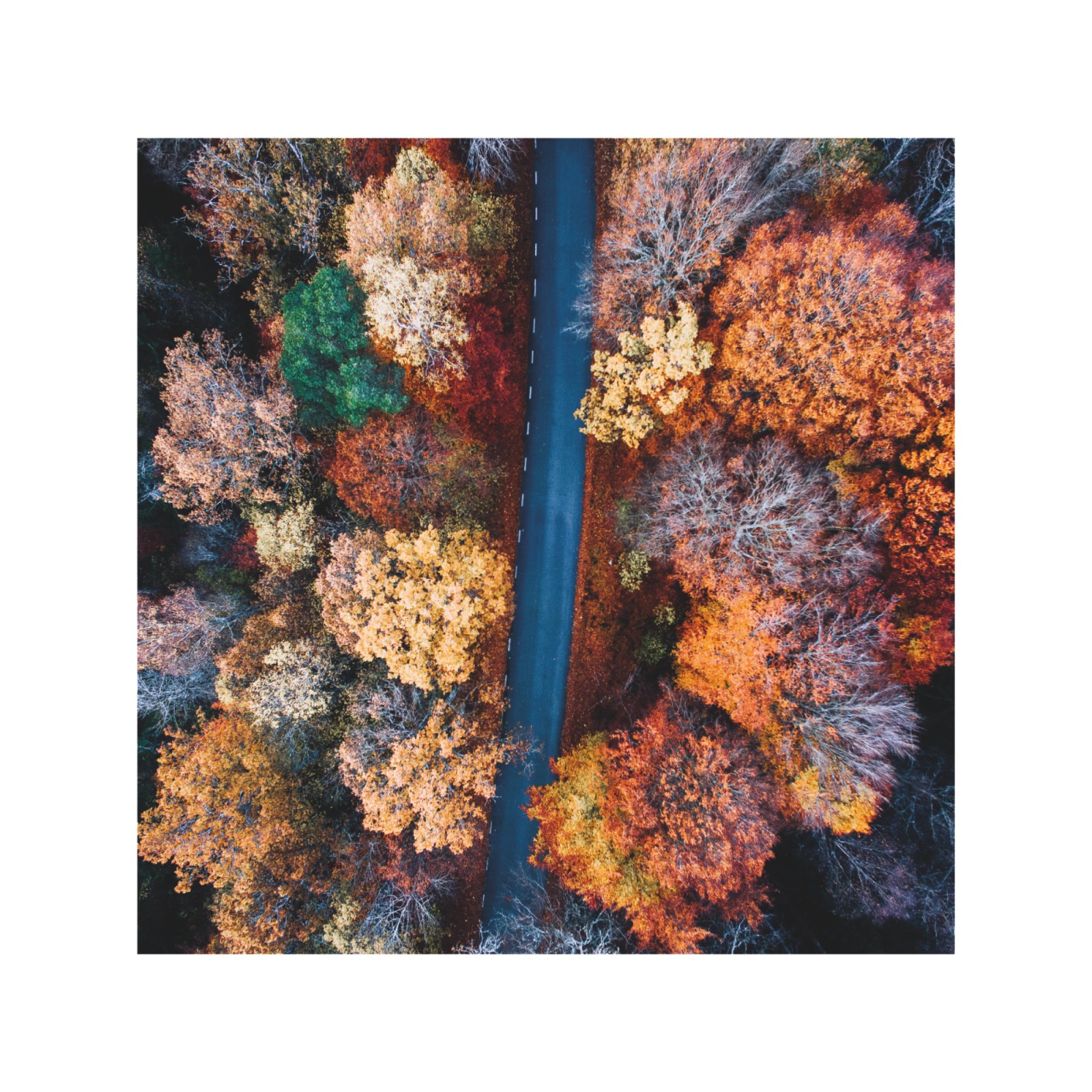 item preview