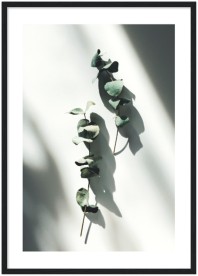item preview