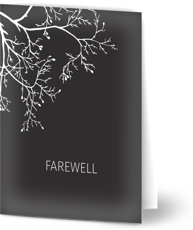 item preview