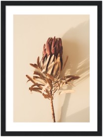 item preview