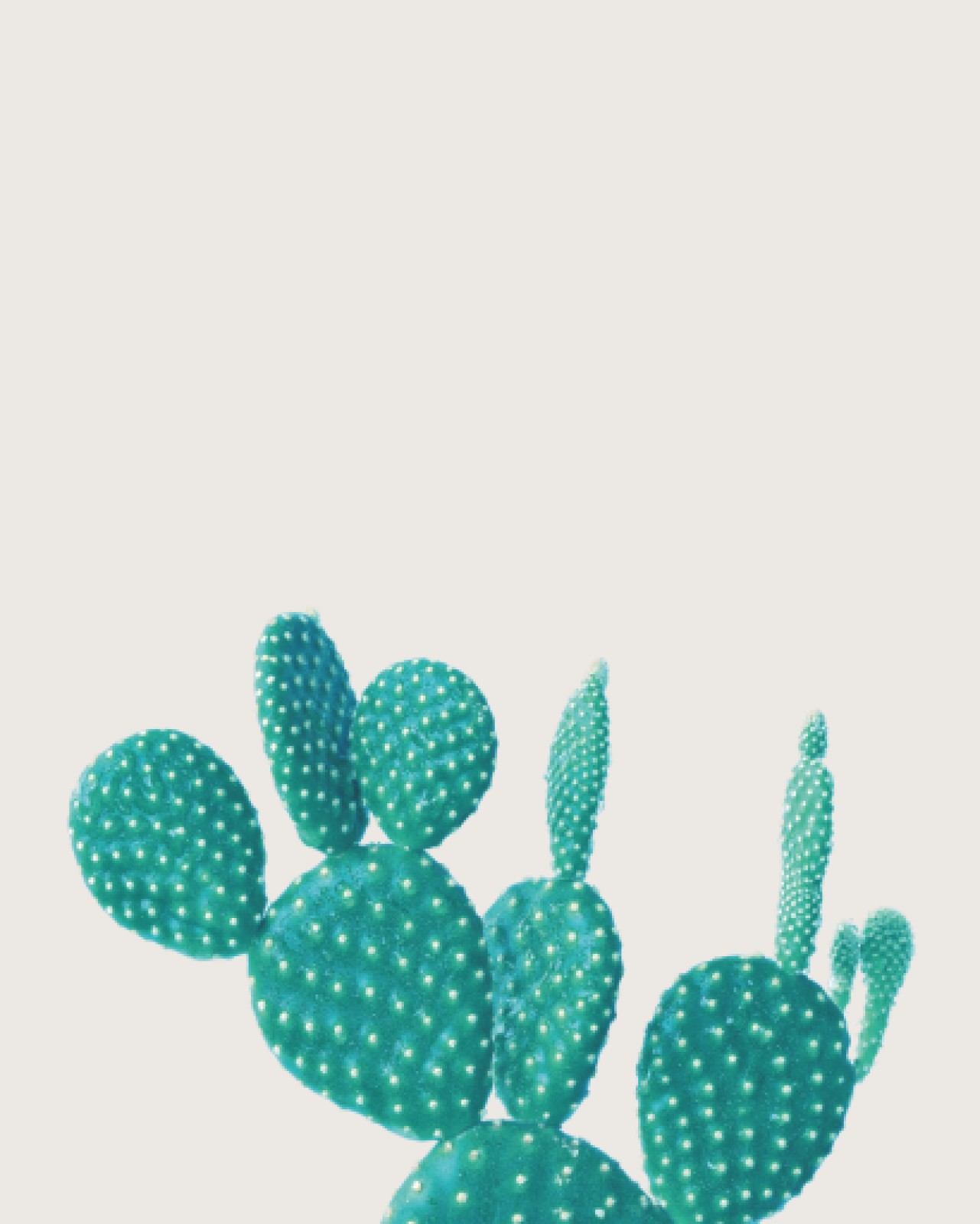 item preview