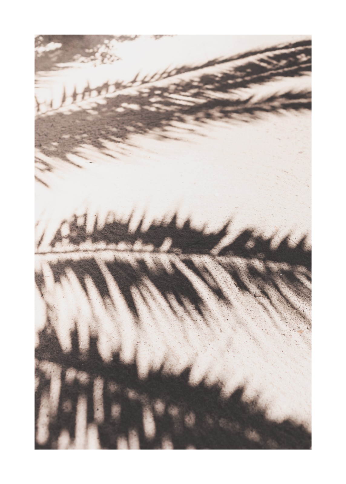 item preview
