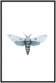 item preview