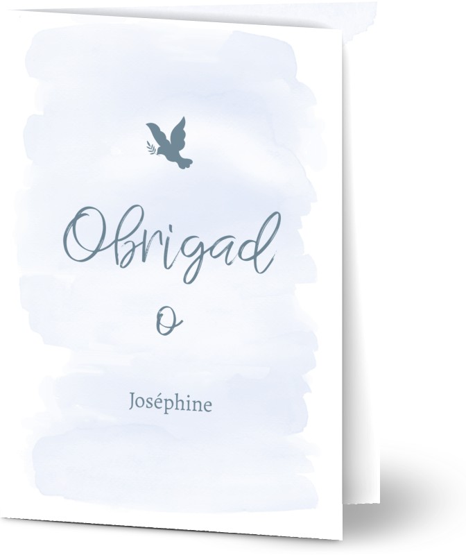 item preview