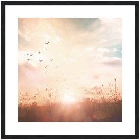 item preview