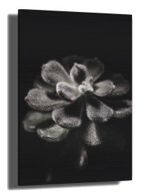 item preview