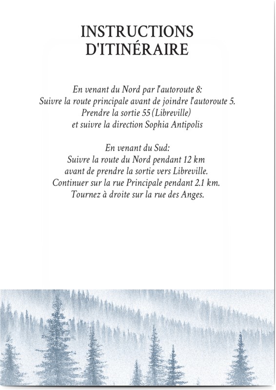 item preview