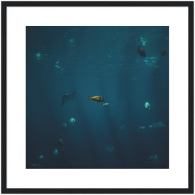 item preview