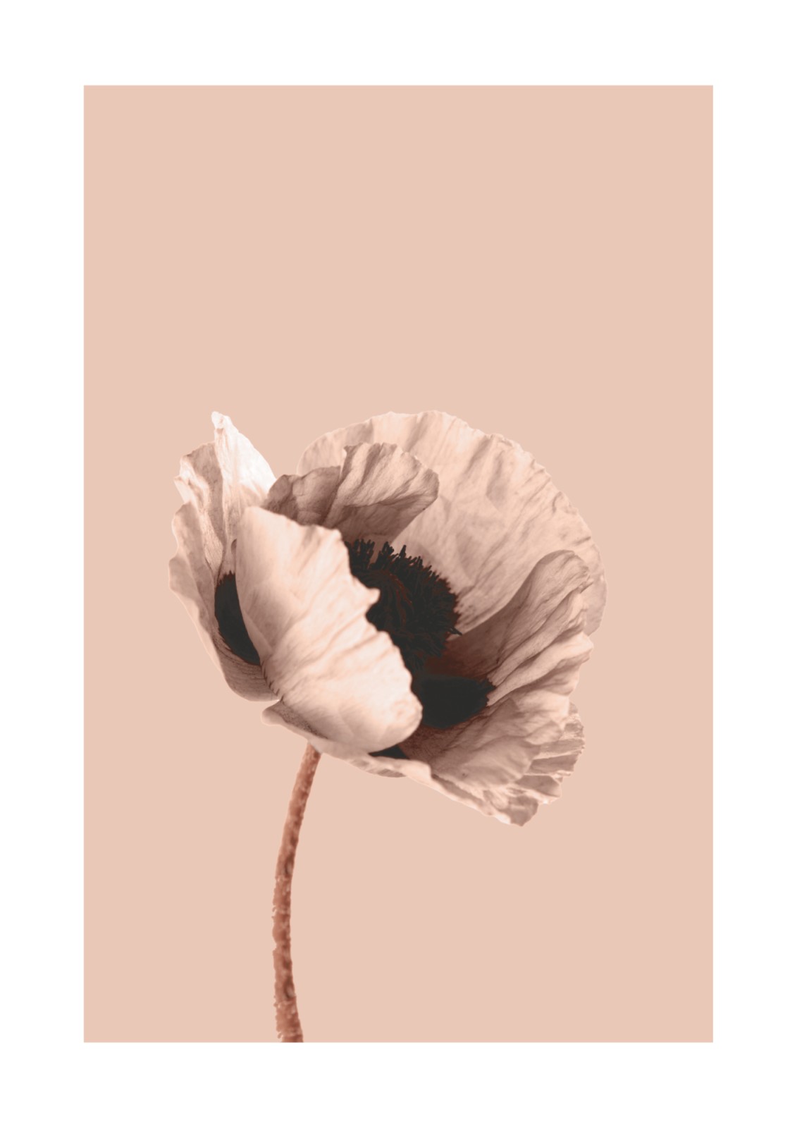item preview
