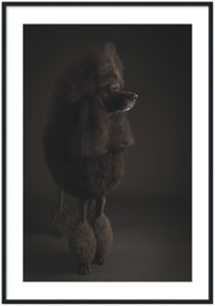 item preview