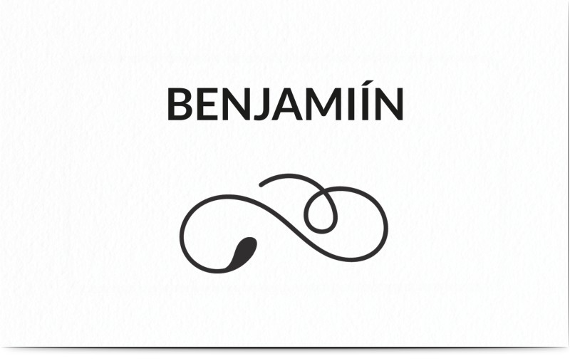 item preview