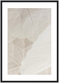 item preview