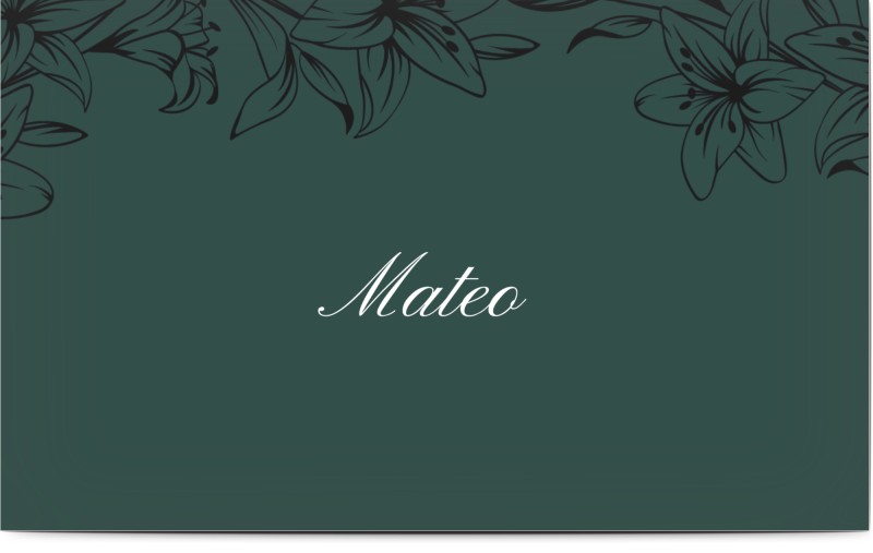 item preview