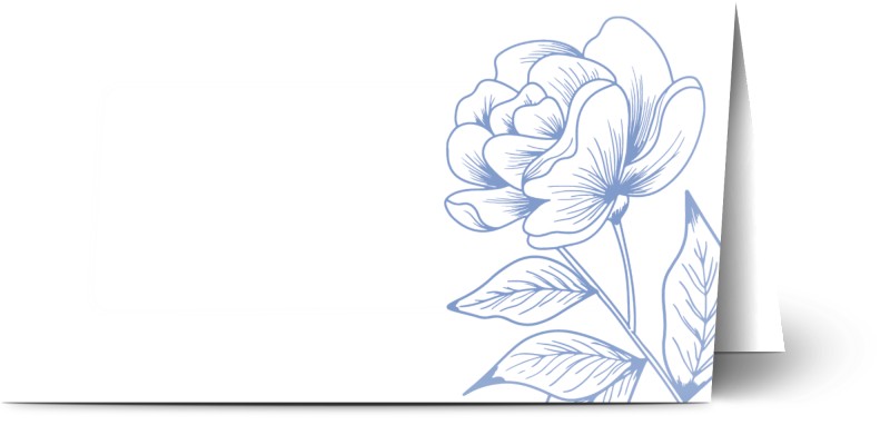 item preview