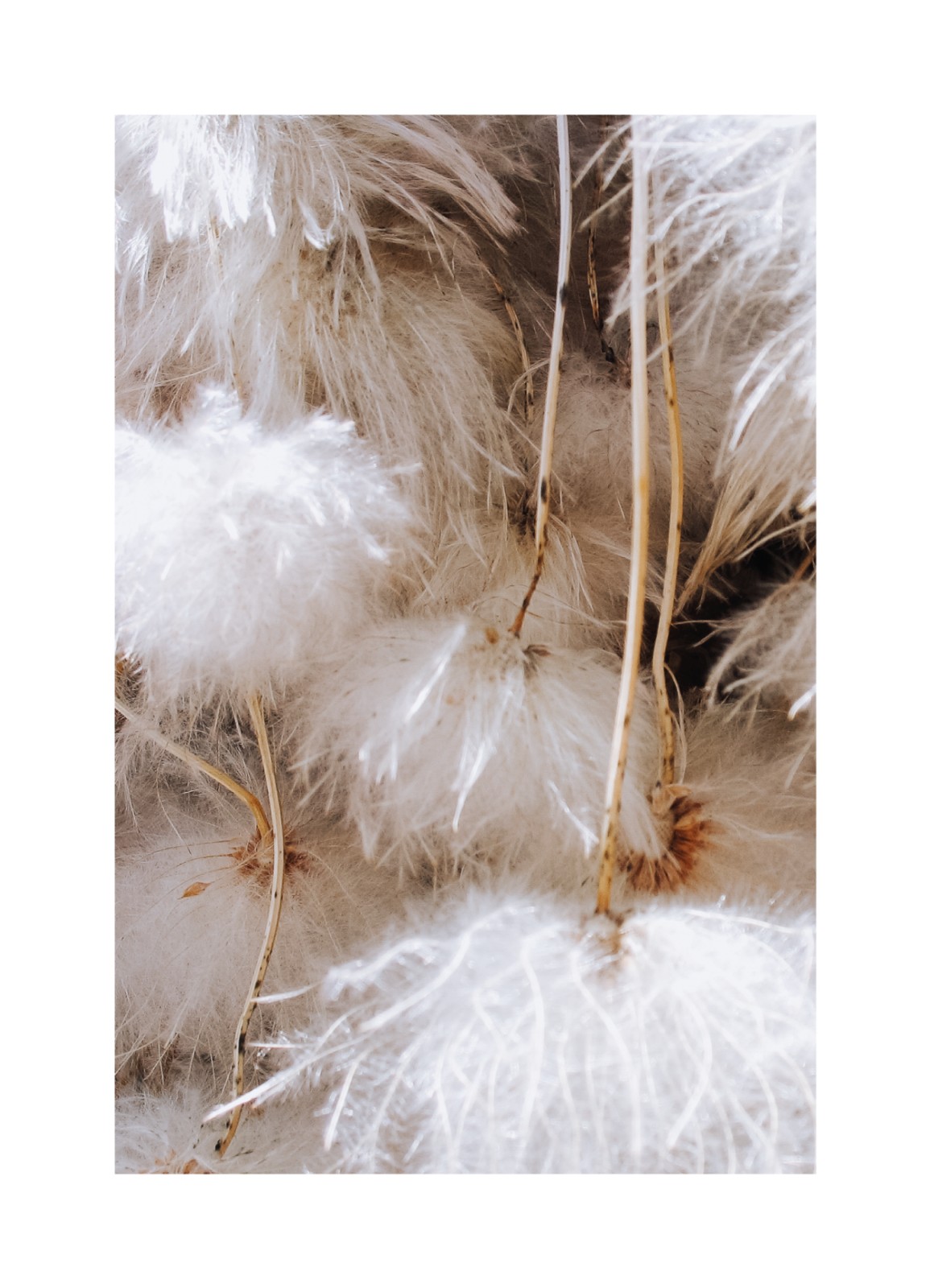 item preview
