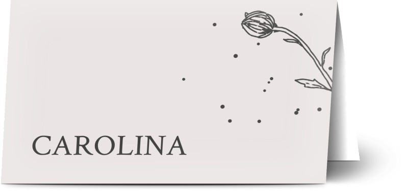 item preview