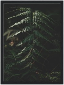 item preview