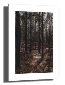 item preview