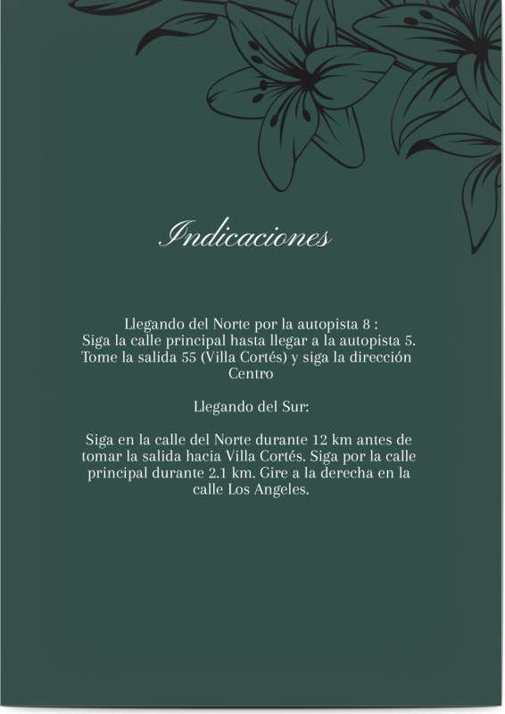 item preview