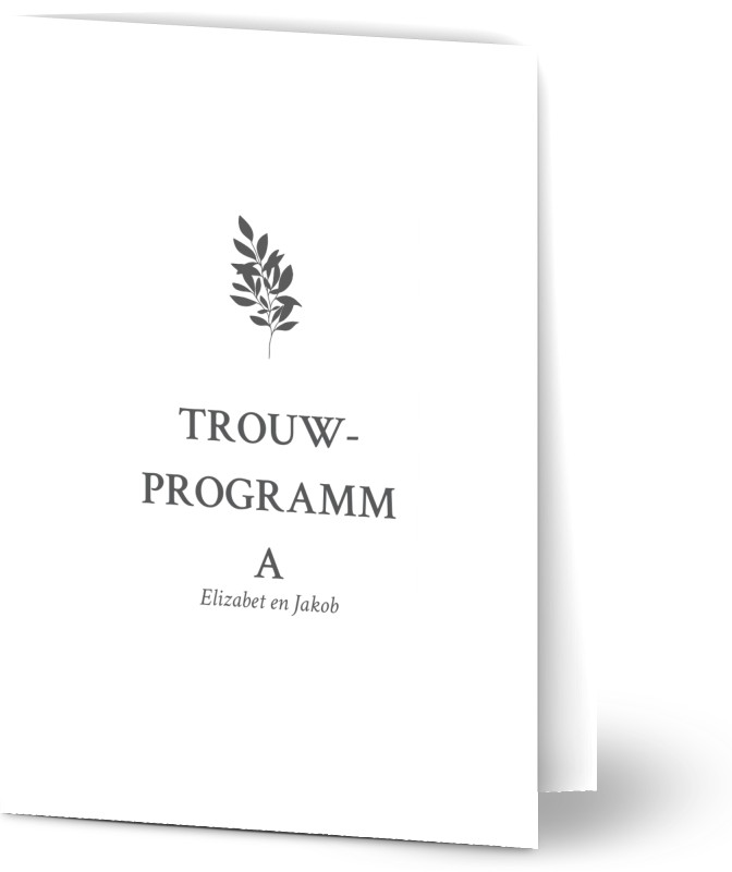 item preview
