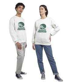 item preview