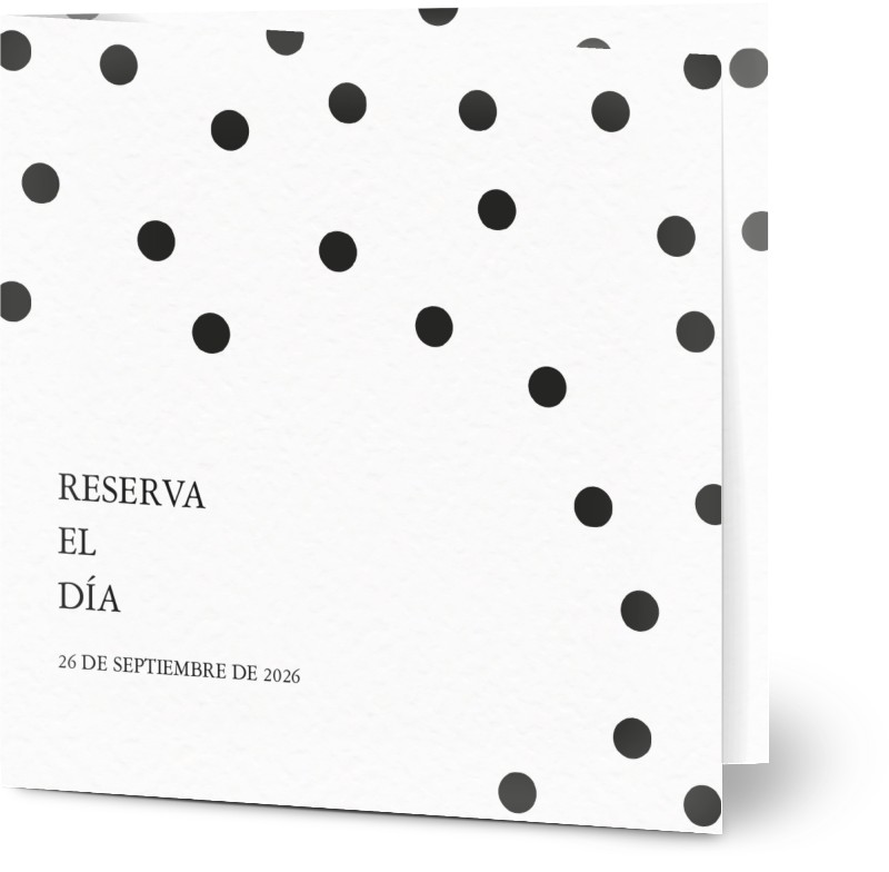 item preview
