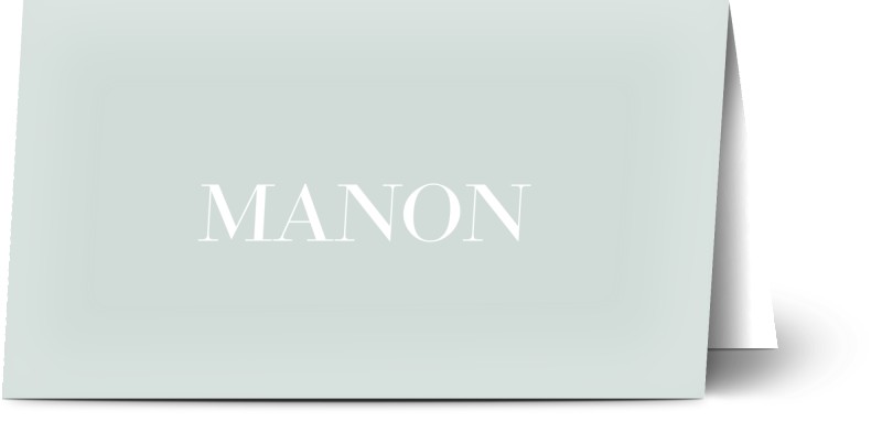 item preview