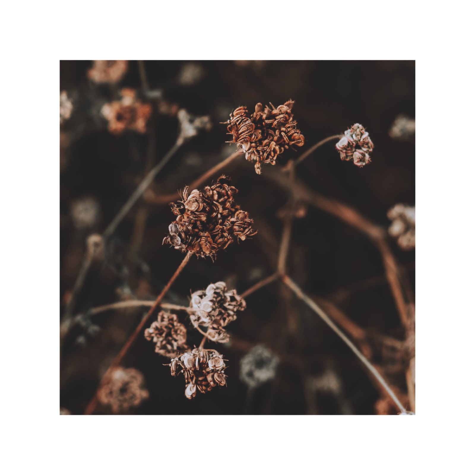 item preview