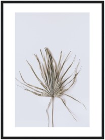 item preview