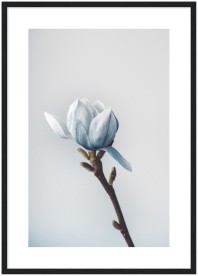 item preview