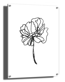 item preview