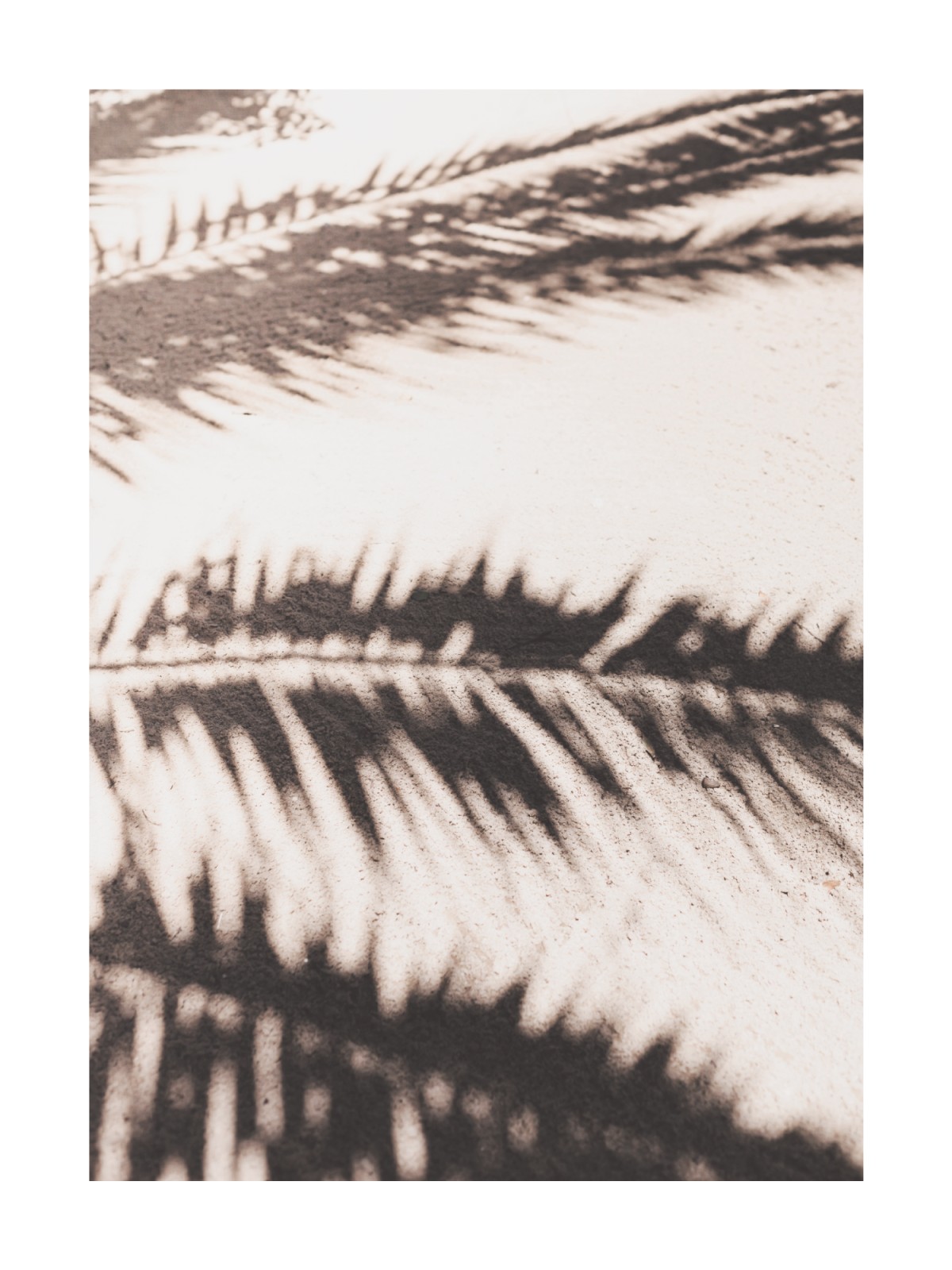 item preview